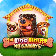 The Dog House Megaways Advanced slot gameplay
